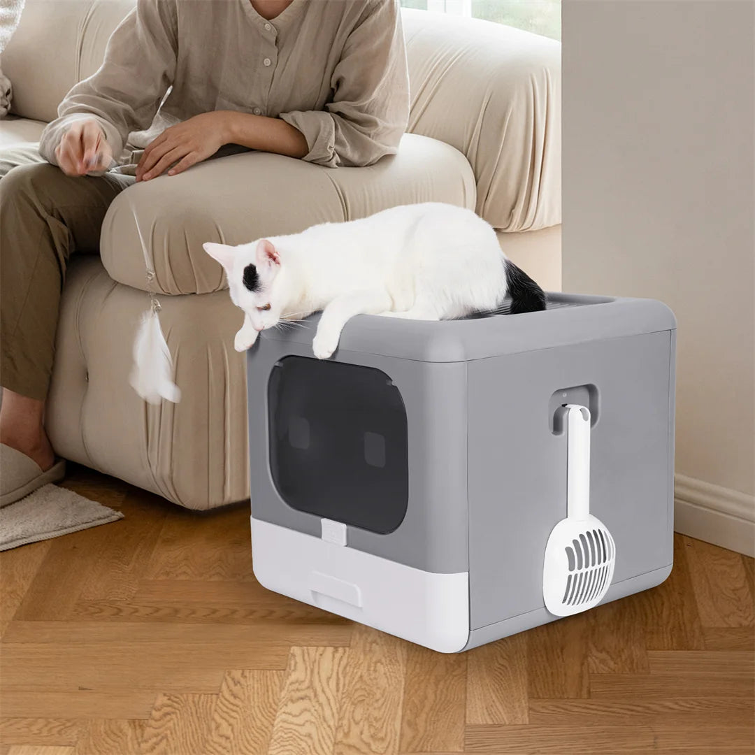 Modern Cat Litter Box Enclosure