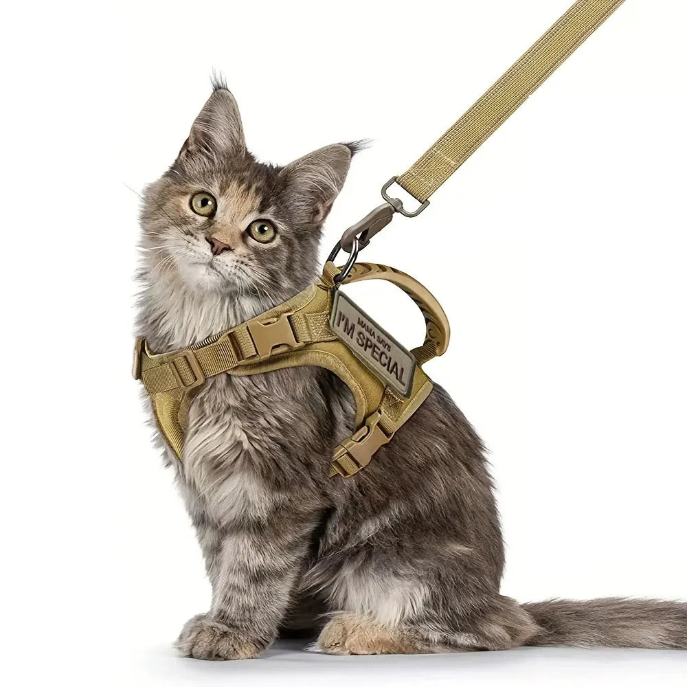 cat chest strap Special vest for walking