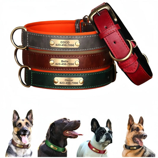 Personalized Dog Collar Custom Engraved