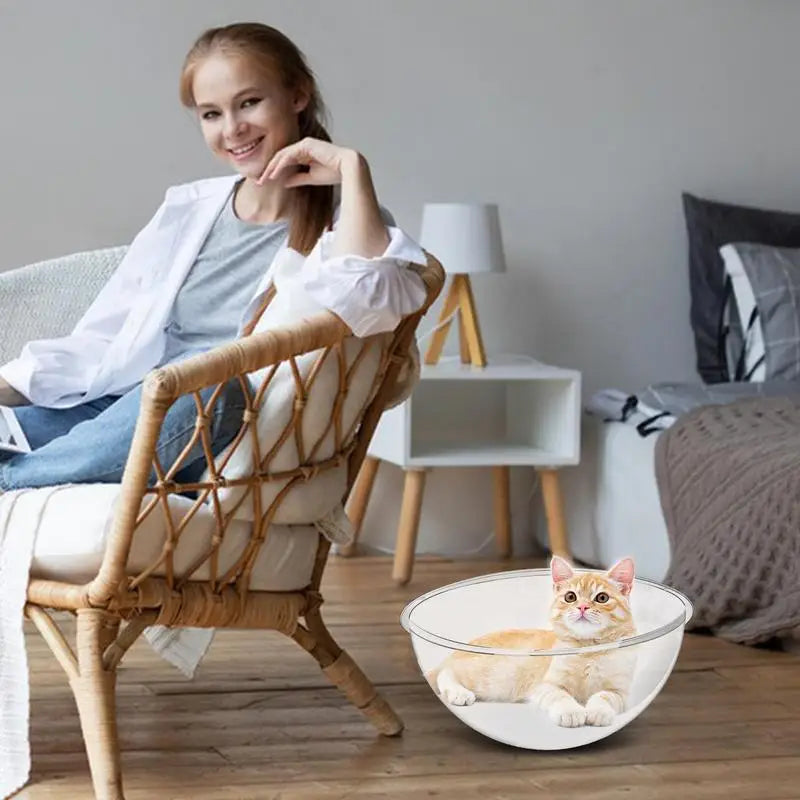 Transparent Cat bed