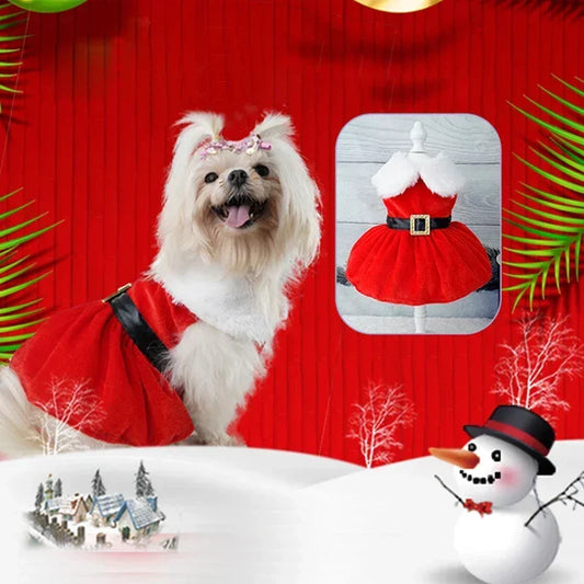 Dog Christmas Coat and Red Dress