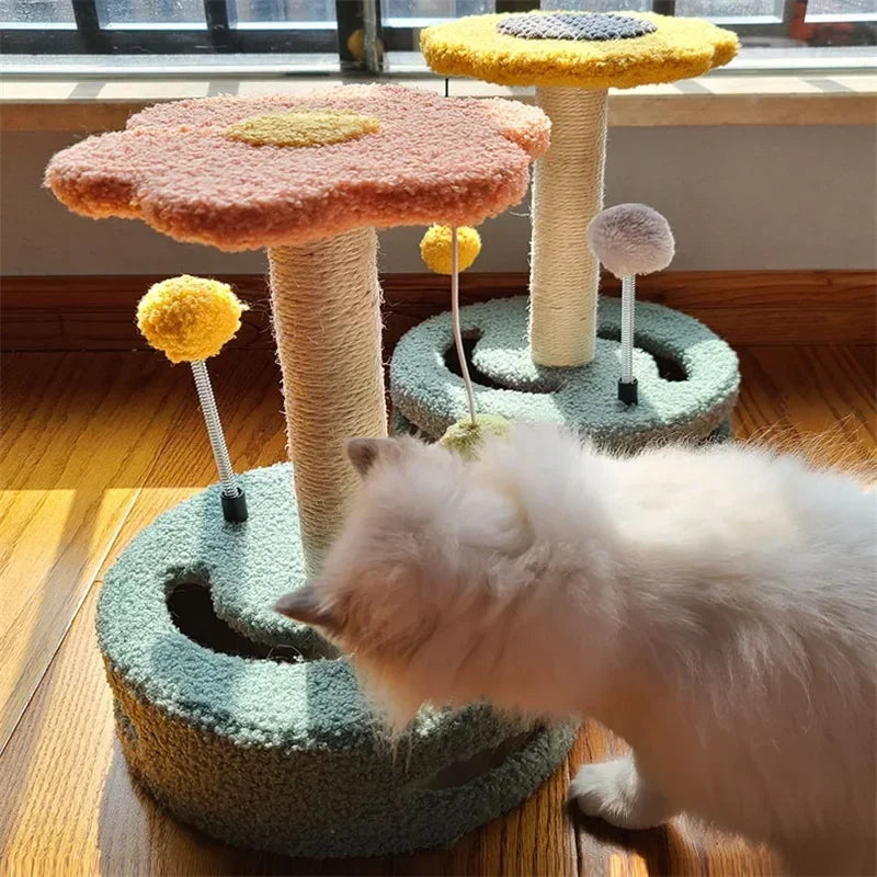 Cat Toys turnrntable play