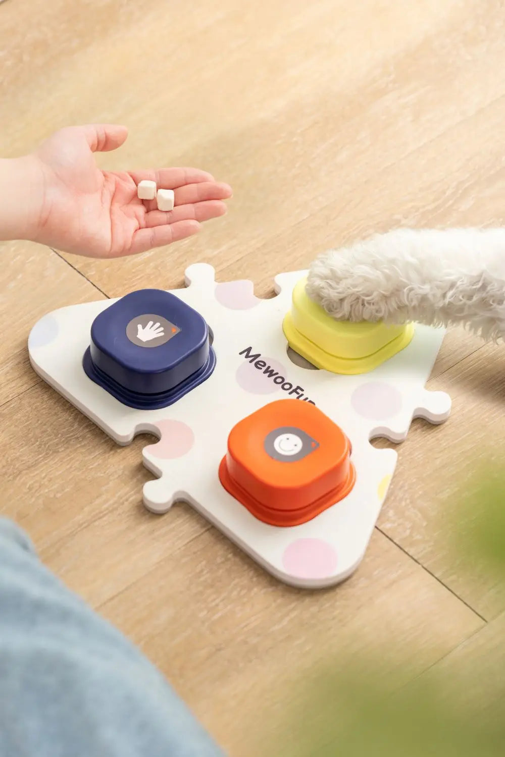 Talking Buttons with Mat for Dogs