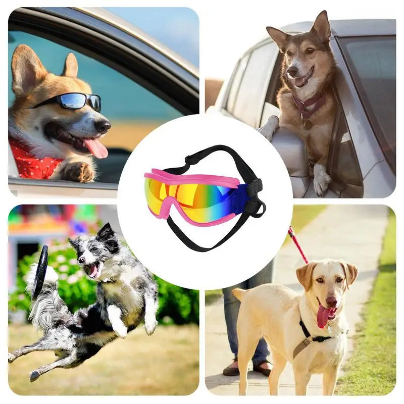 Eye Wear Dog Sunglasses