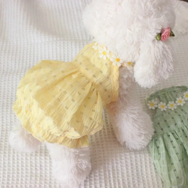 Pet Daisy Dress Clothing