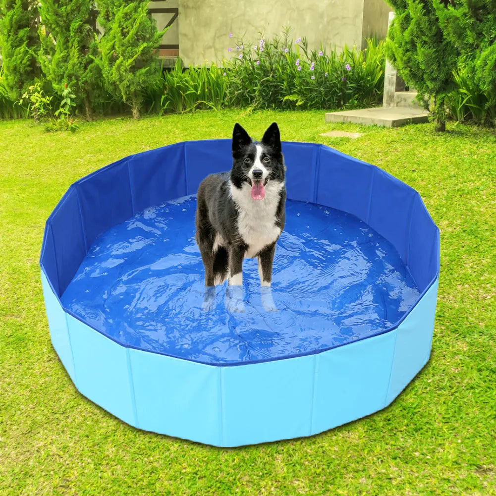 Collapsible Dog Pool Outdoor Indoor