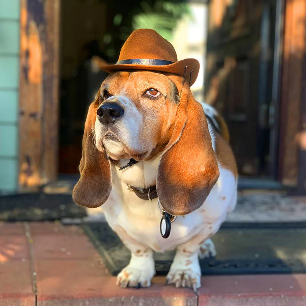 Cat Cowboy Hat Headgear