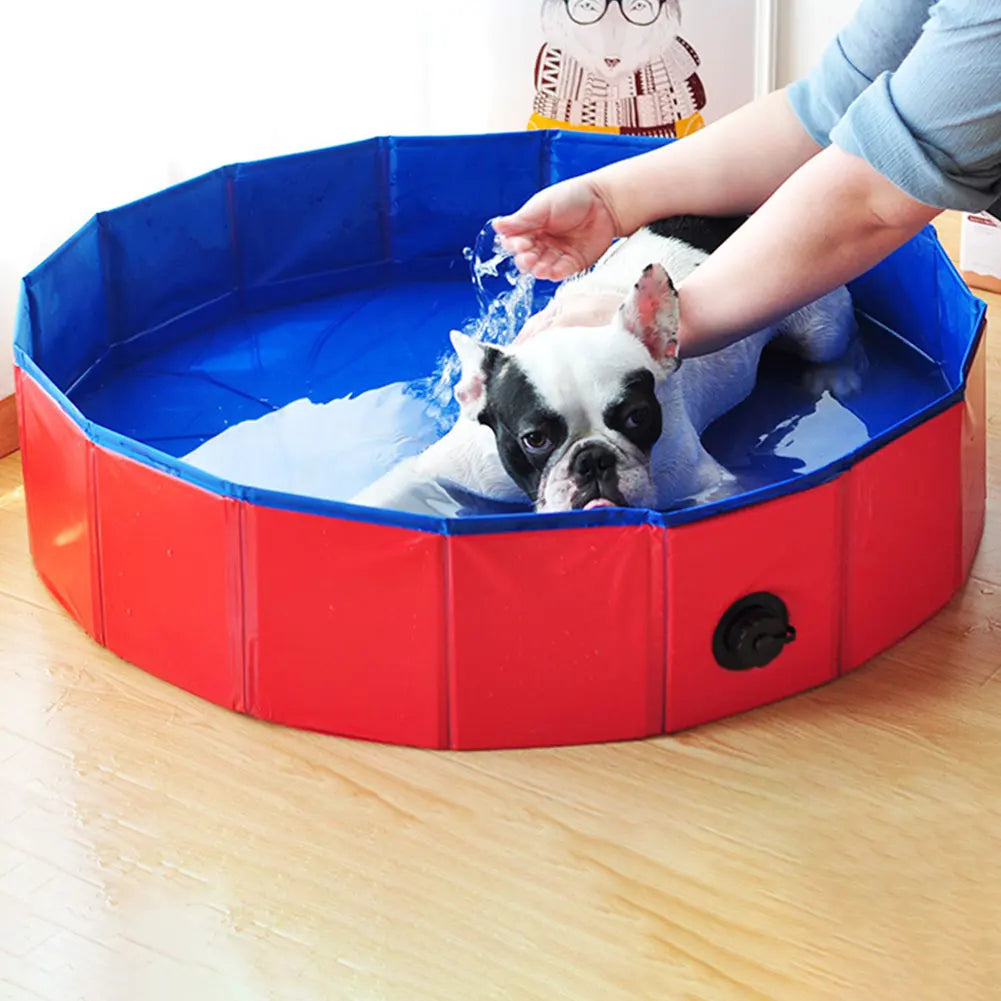 Collapsible Dog Pool Outdoor Indoor