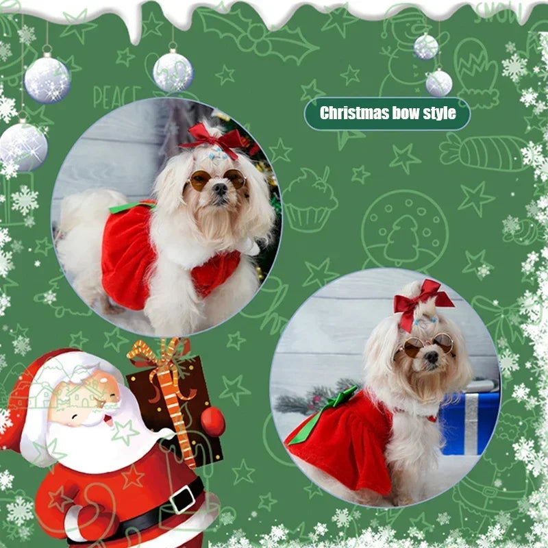Dog Christmas Coat and Red Dress