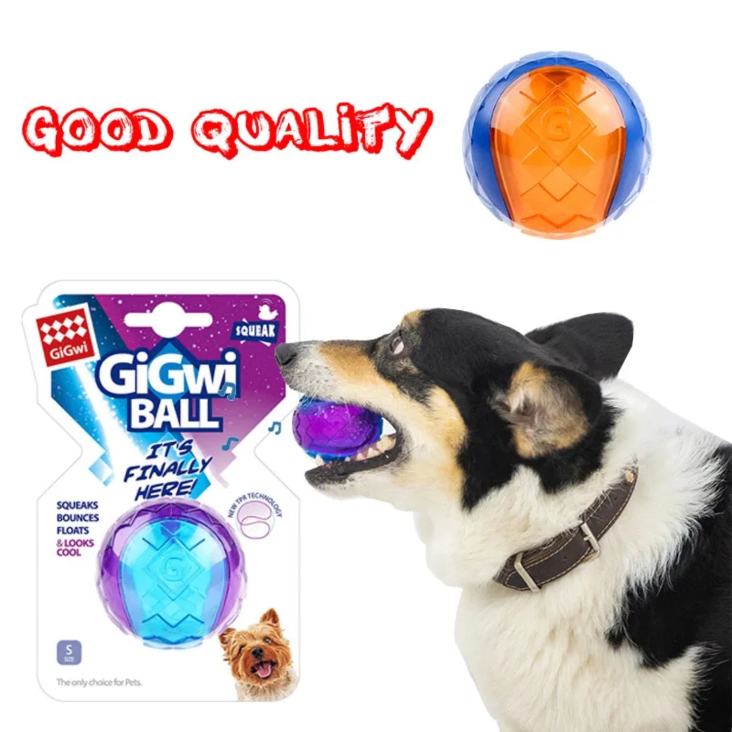 Small and Large dogs Squeaky Chew Toy