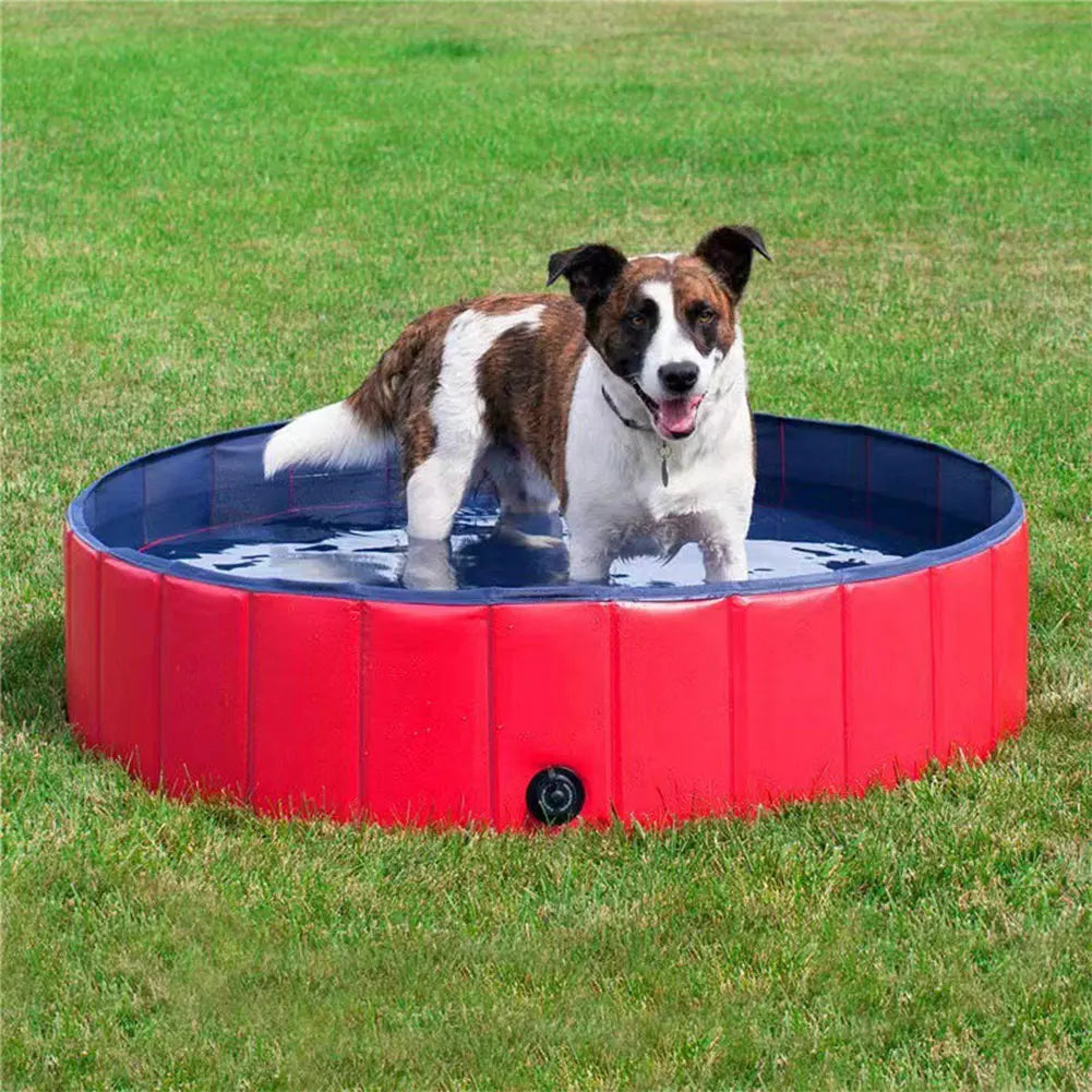 Collapsible Dog Pool Outdoor Indoor