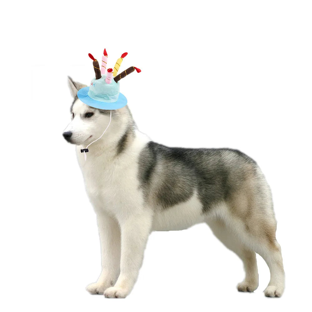 Dog Cat Birthday Hat cake cap candle design