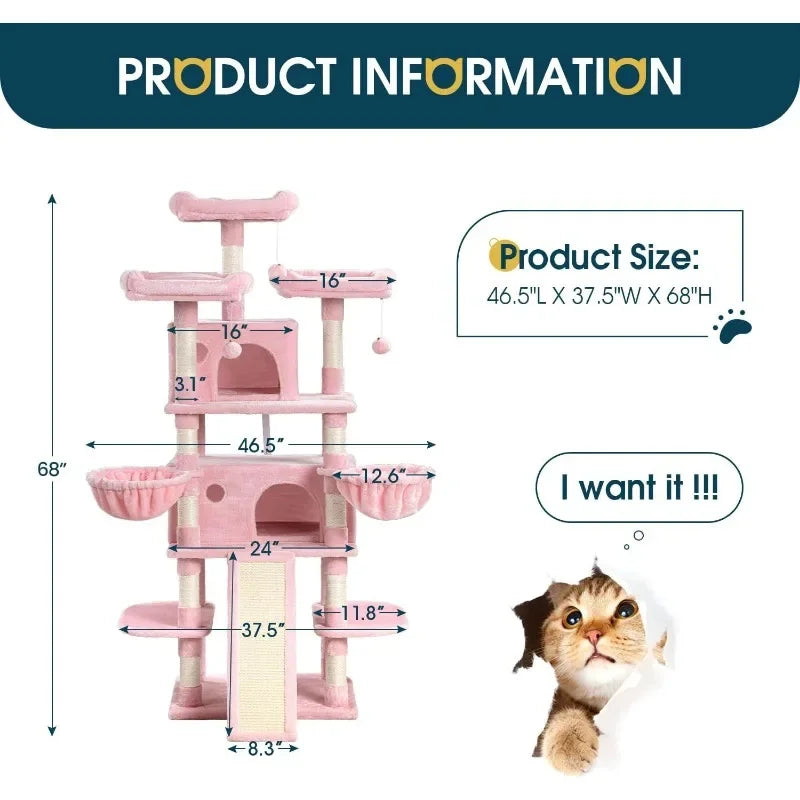 Multi-Level Large Cat Tree