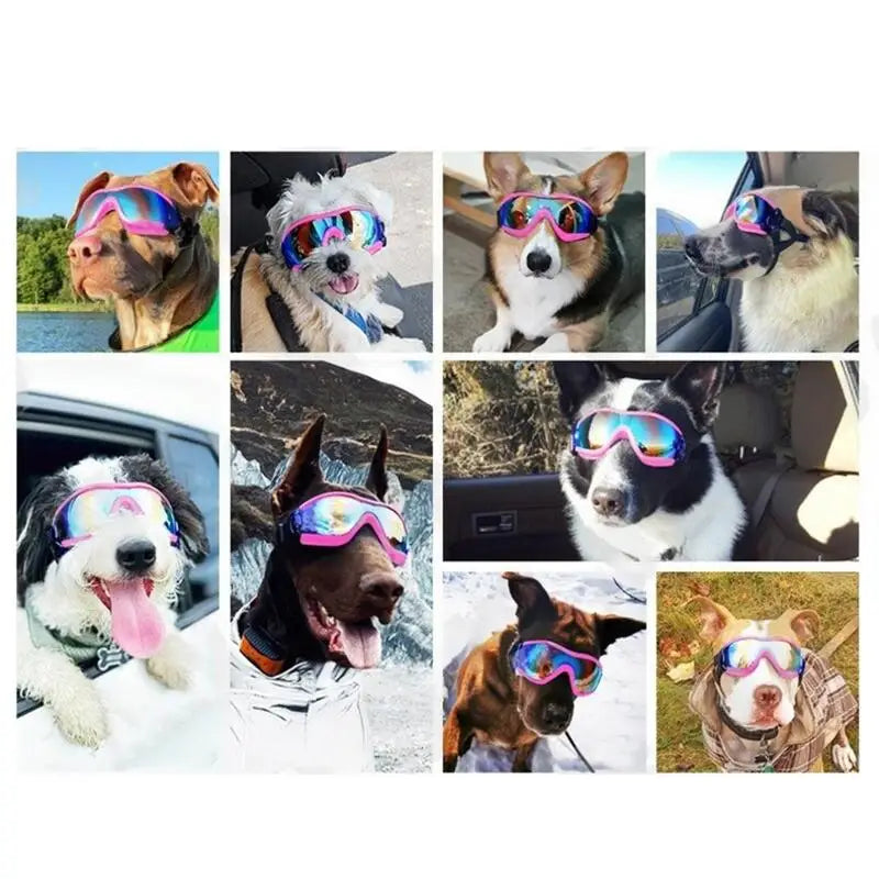 Eye Wear Dog Sunglasses