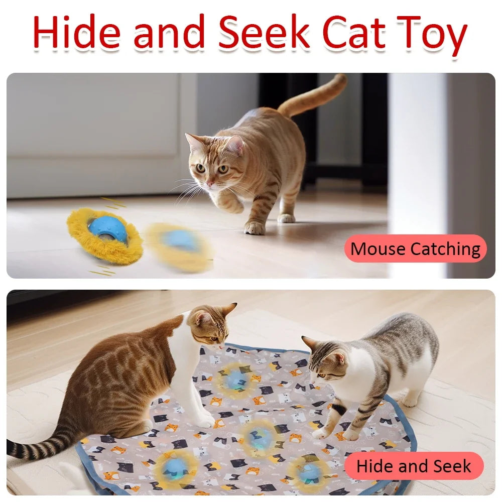 Rolling in Pouch Cat Toys