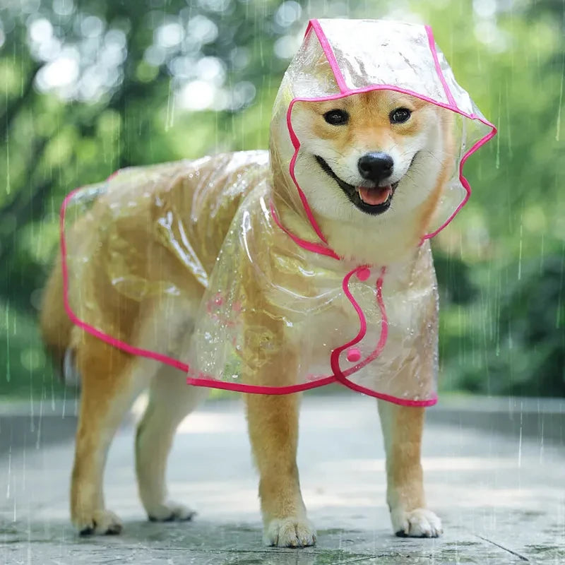 Dog  Transparent Rainwear