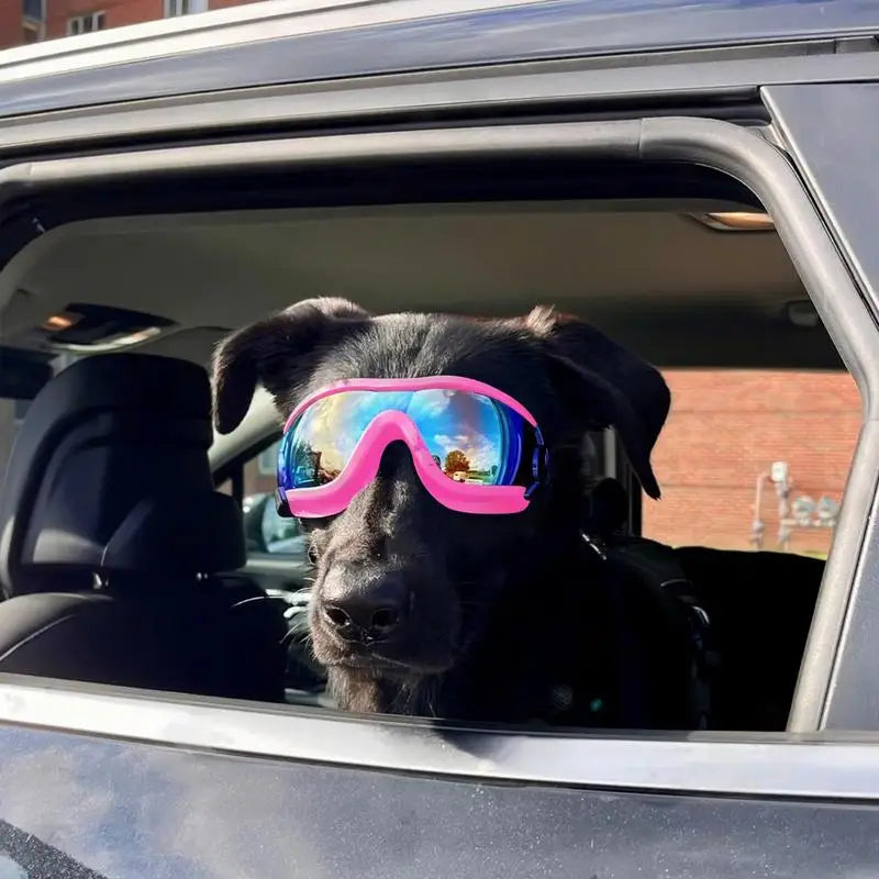 Eye Wear Dog Sunglasses