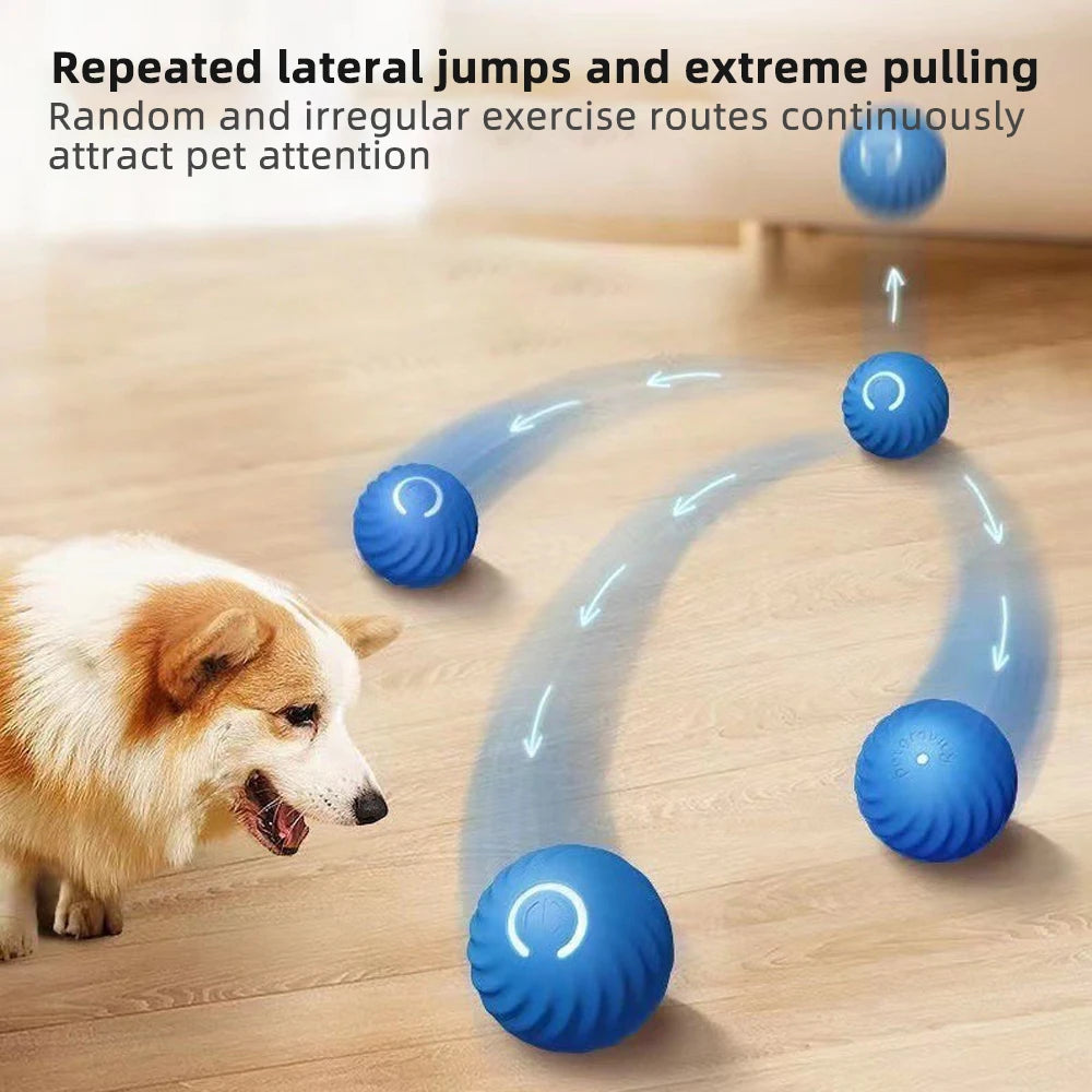 Pet Toy USB Automatic Moving Bouncing ball