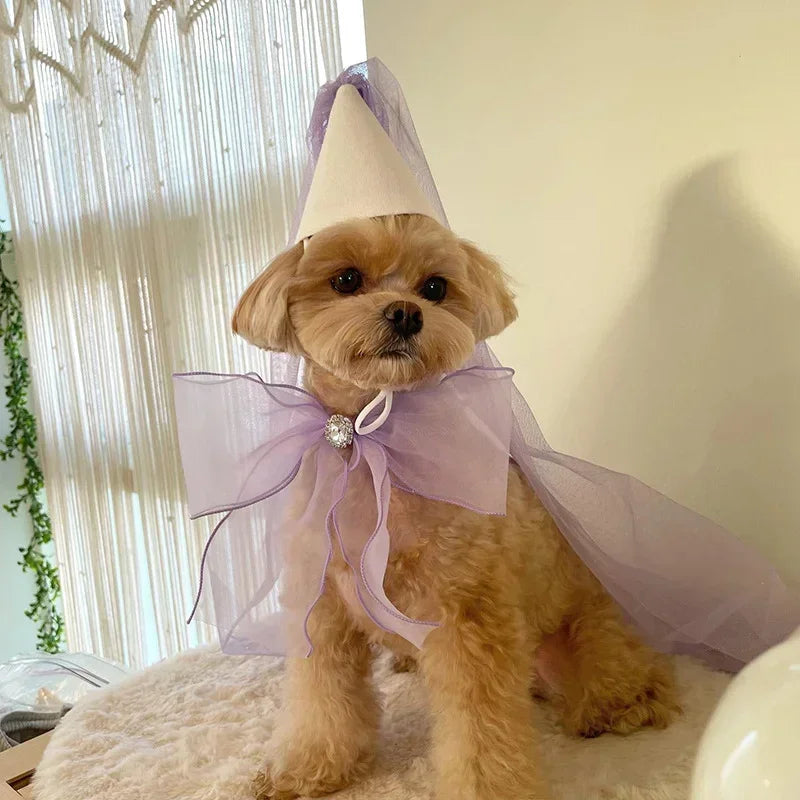 Birthday Party Dog Accessories Hat