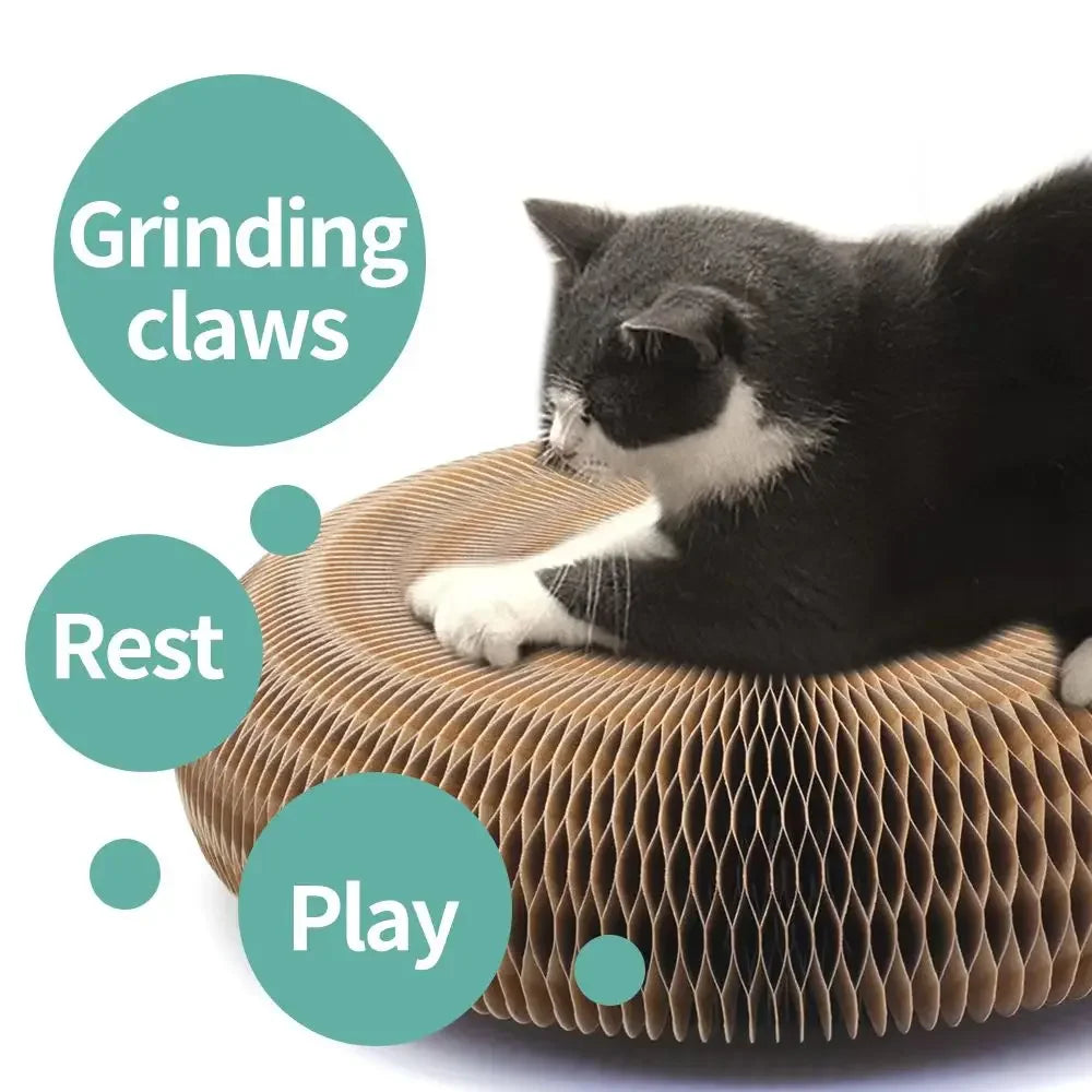 Large folded cat scratcher