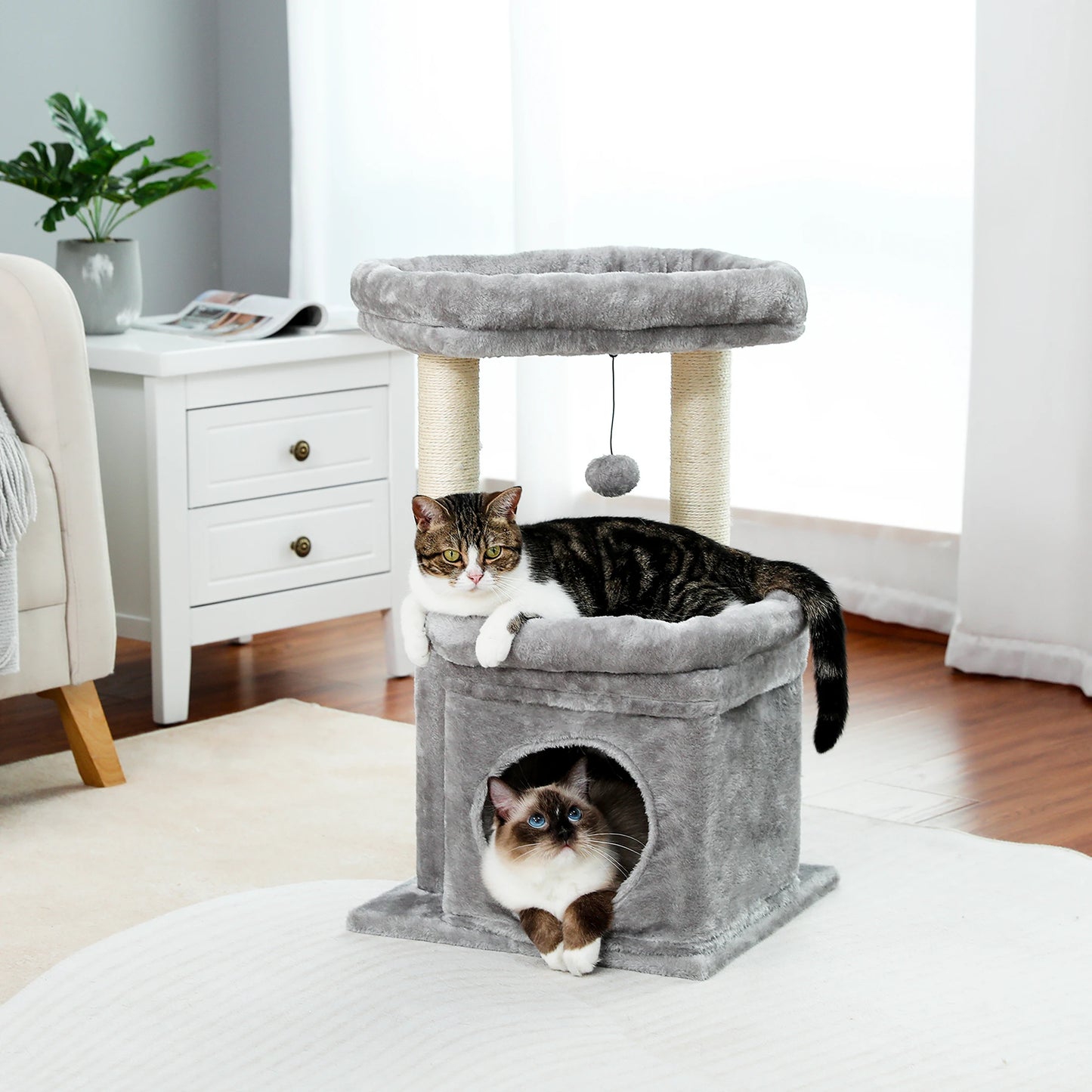 Small Cat Tree with Cozy Condo Tower