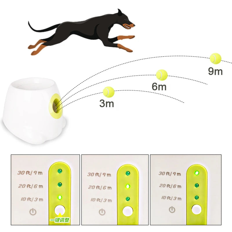 Pet Tennis Ball Machine Automatic Throw