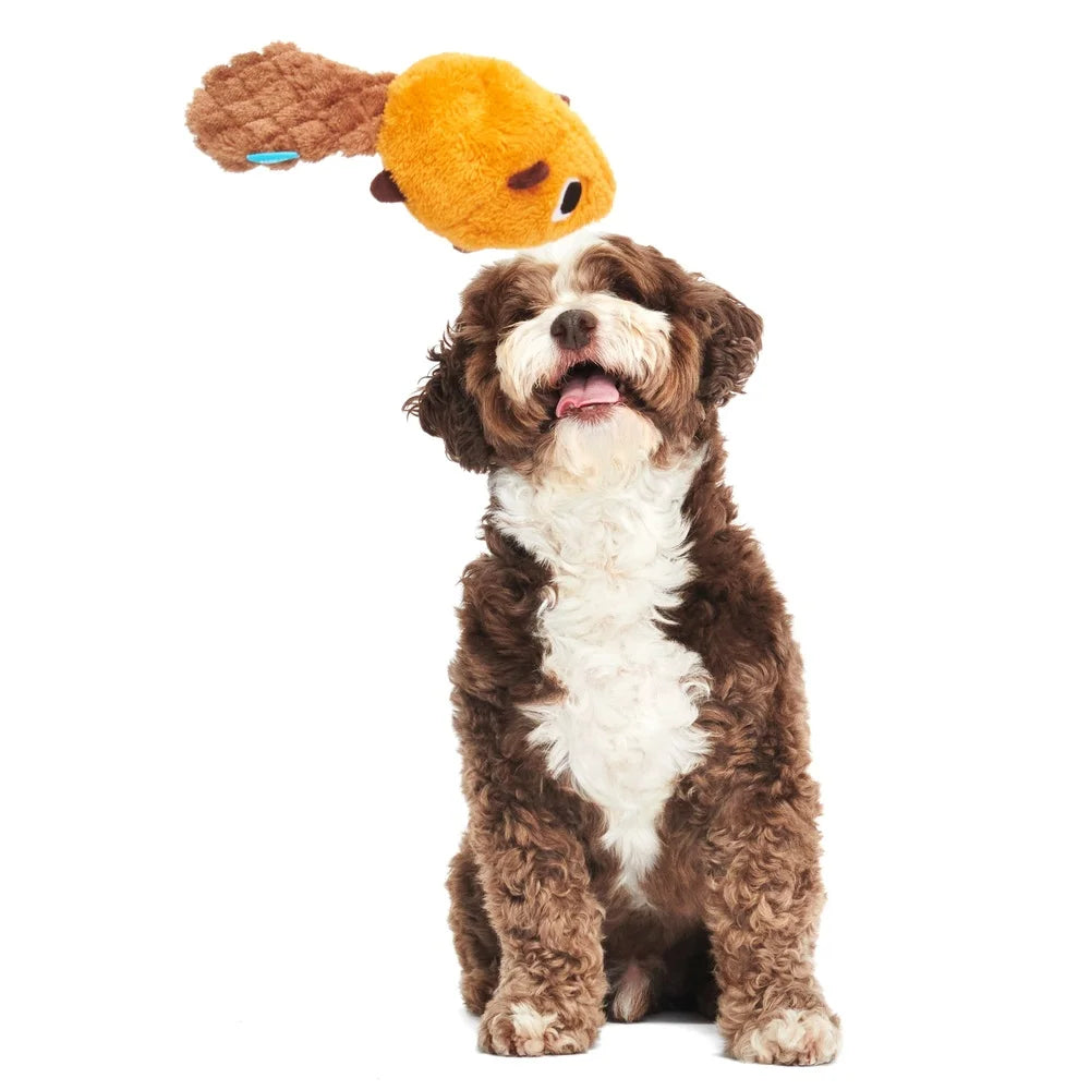Plush Beaver Dog Toy with Squeaker