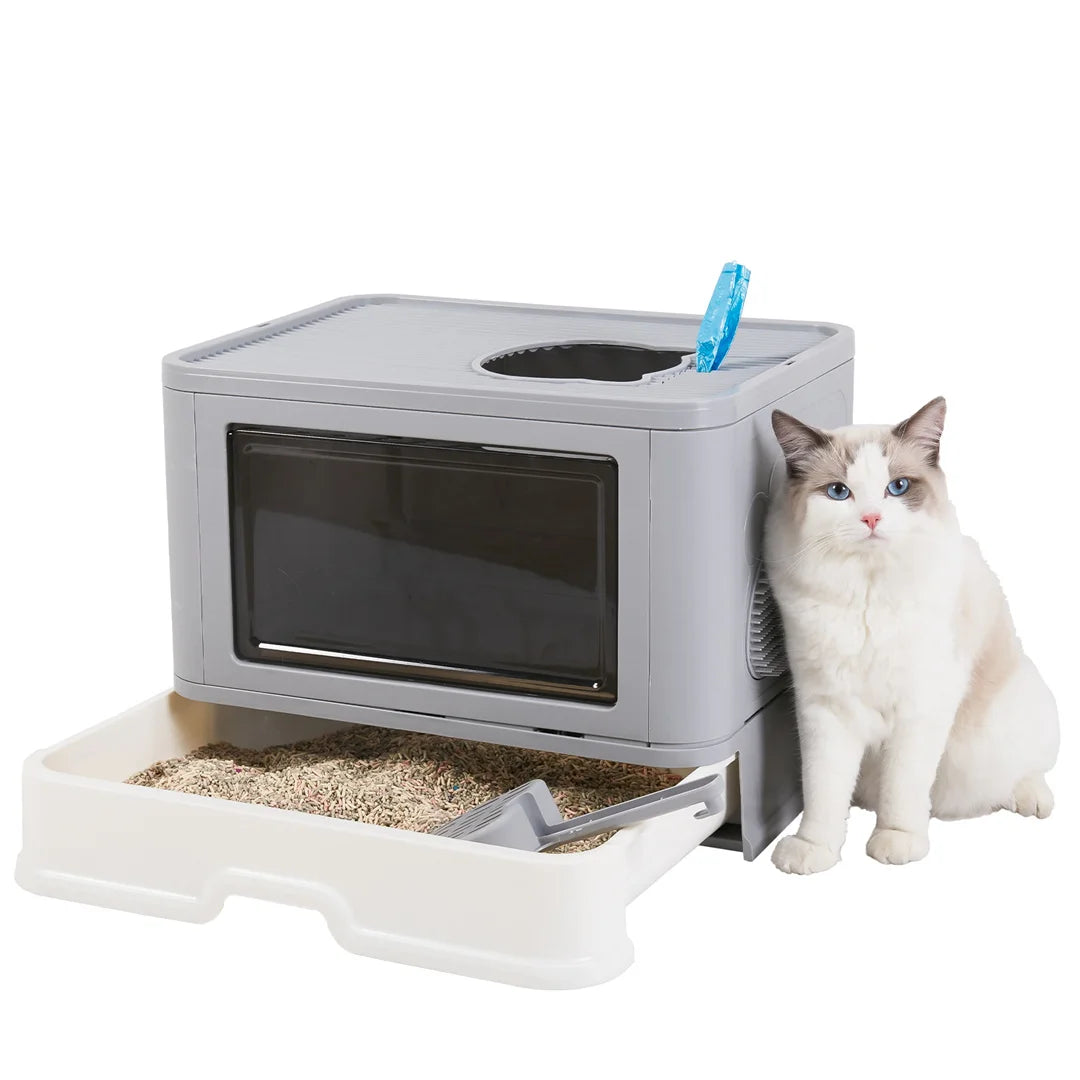 Modern Cat Litter Box Enclosure