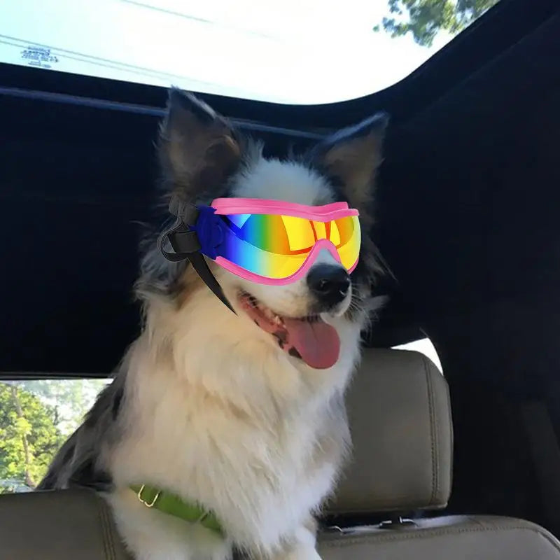 Eye Wear Dog Sunglasses