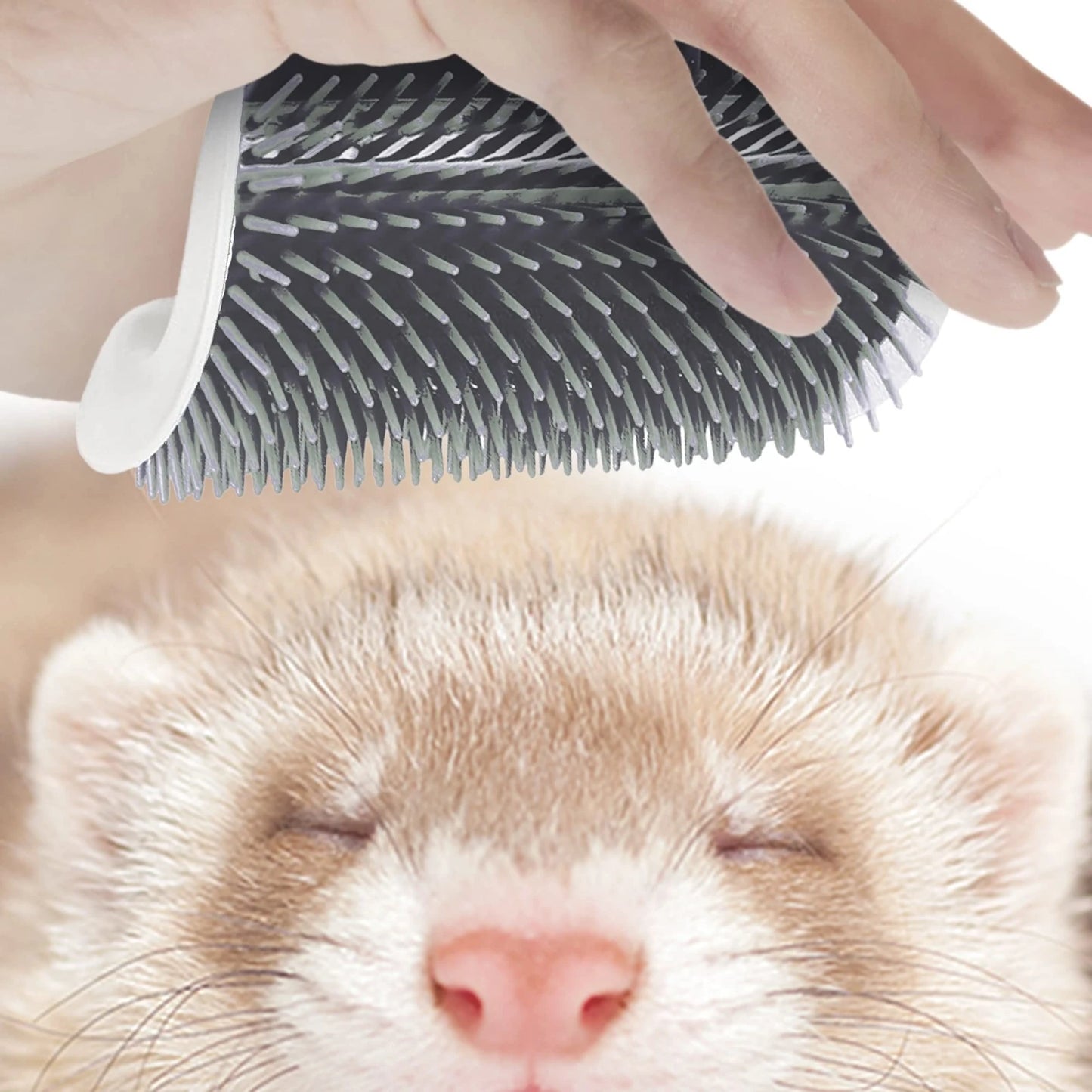 Pet Self-Cleaning Massager and Comb
