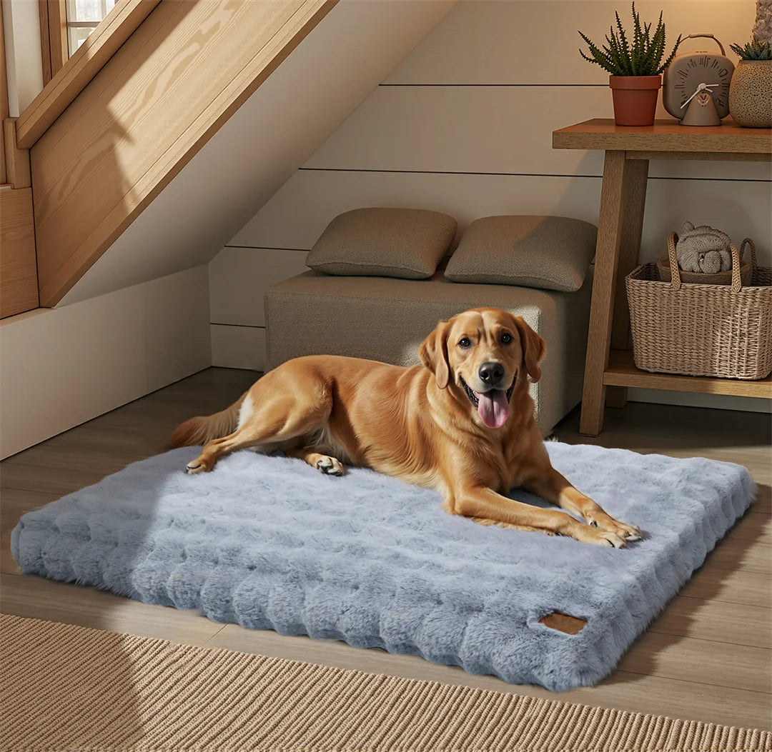 BINGO PAW Ultra-soft Dog Cozy Bed