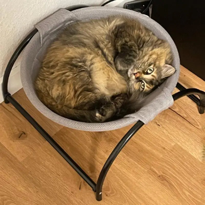 Cat and Dog Hammock Bed