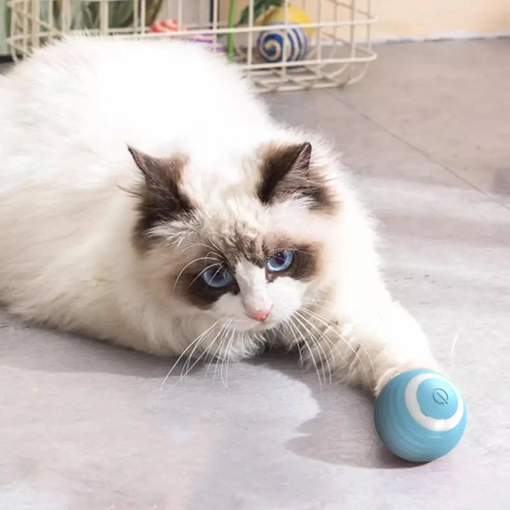 Smart Interactive Cat Toy Automatic 360 Self-Rotating Ball