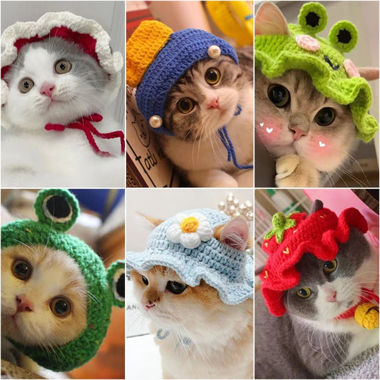 Cute Refined Cat Hat Elastic Autumn Winter  Decoration