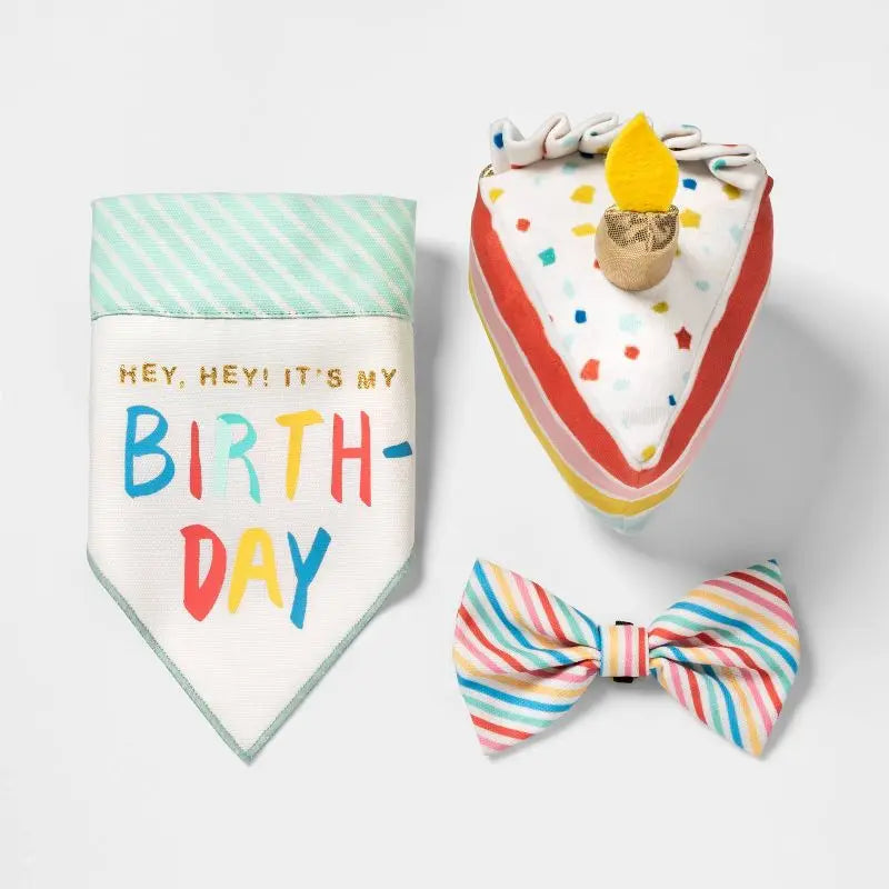 Birthday Cake Plush Dog Toy with Squeaker