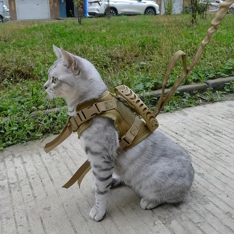 cat chest strap Special vest for walking