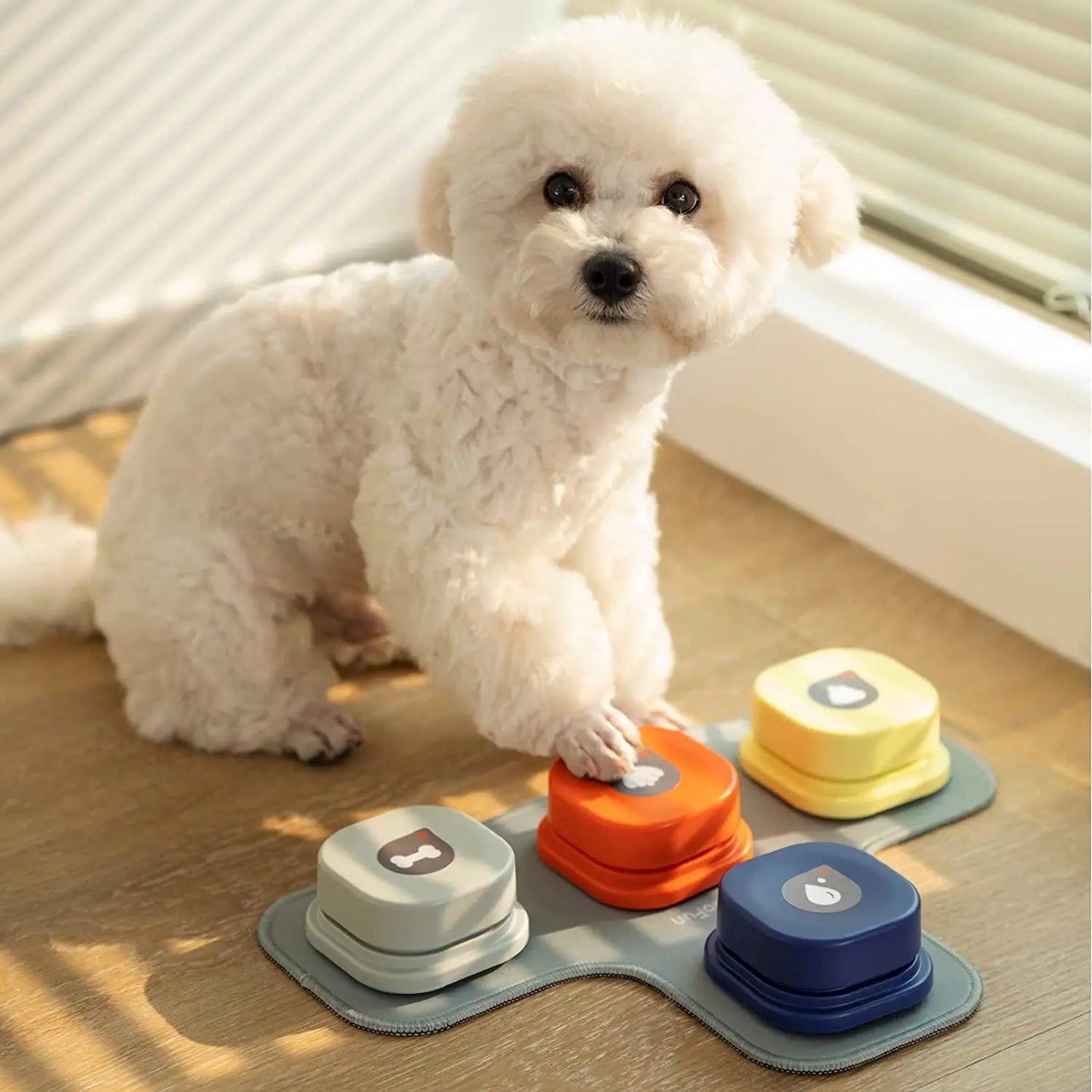 Pets Talk Trainable and Recordable  Communication  Clicker