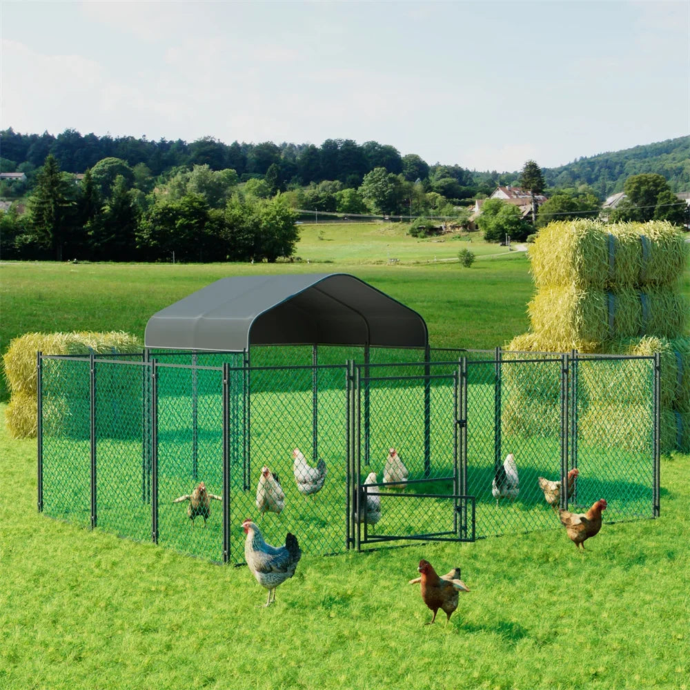 Heavy Duty Chicken Run Coop