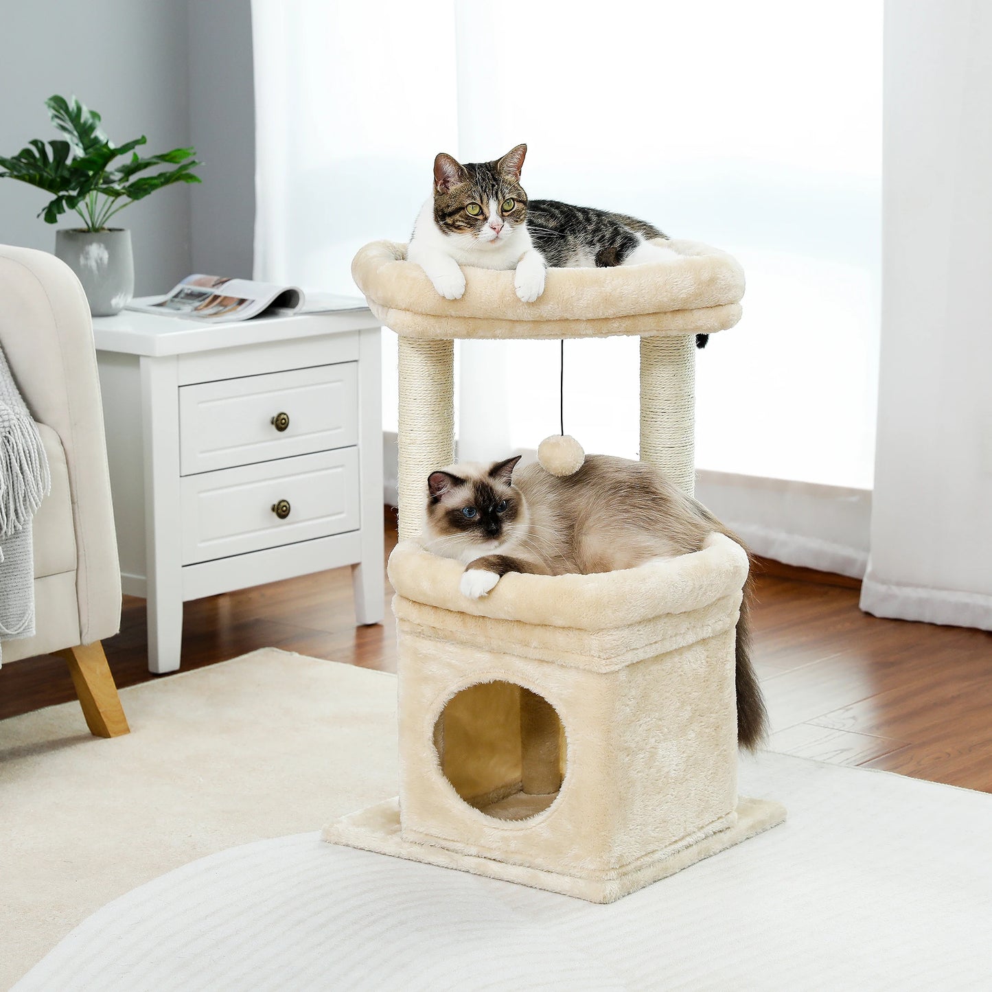 Small Cat Tree with Cozy Condo Tower