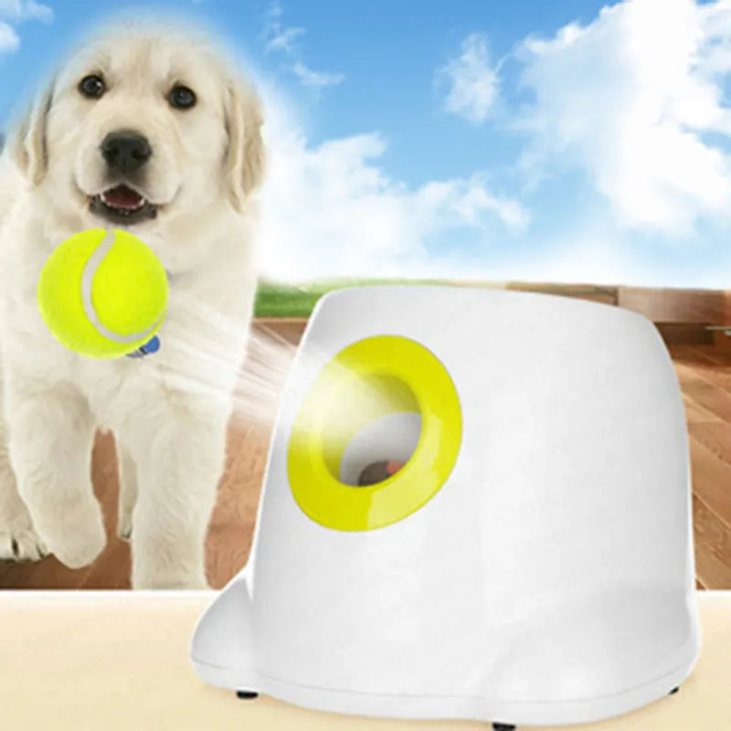 Pet Tennis Ball Machine Automatic Throw