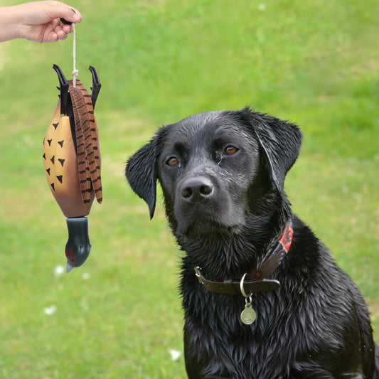 Toy for Hunting Retriever Dog Training