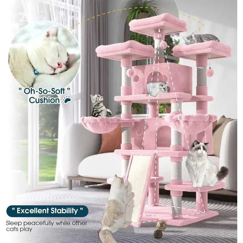 Multi-Level Large Cat Tree