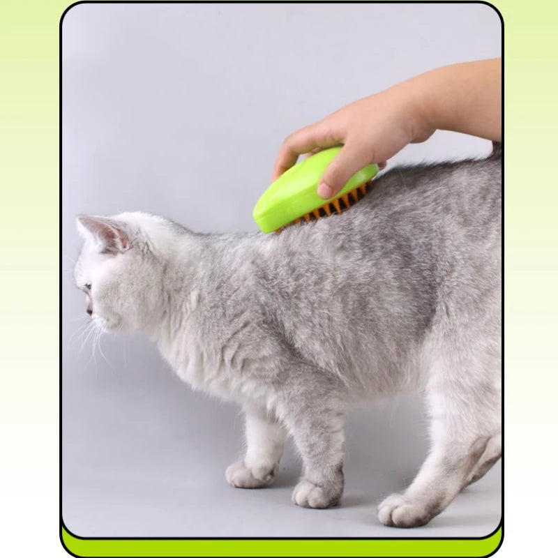 Cat Steam Brush Electric Spray Water