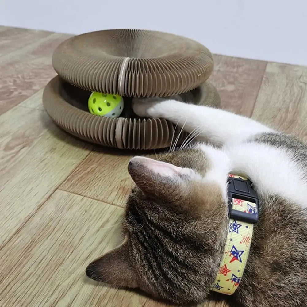 Magic Organ Cat Scratching Board