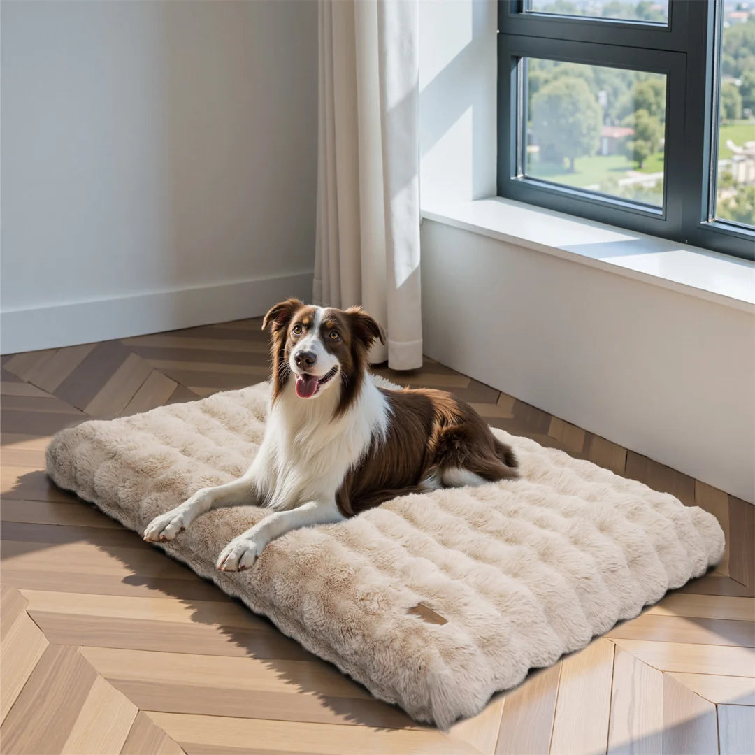 BINGO PAW Ultra-soft Dog Cozy Bed