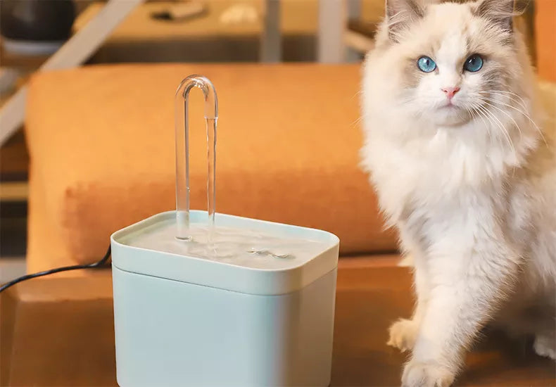 Ultra-Quiet Cat Water Fountain Filter