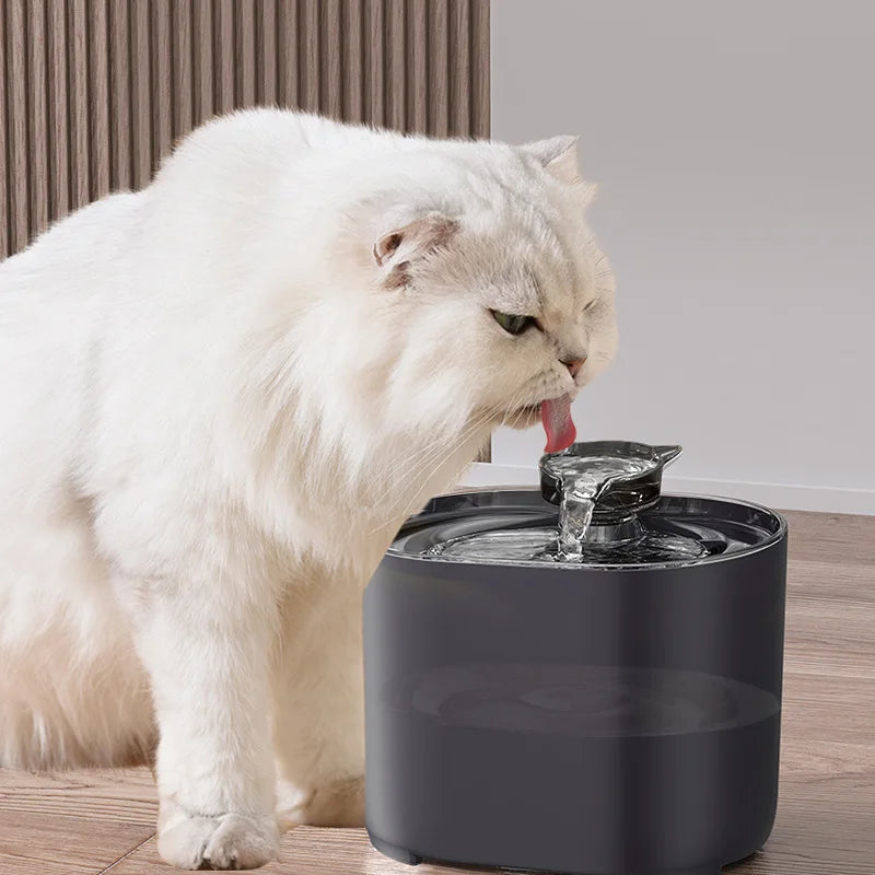 Cat Water Fountain Auto Filter USB Electric