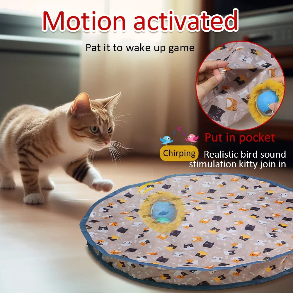 Rolling in Pouch Cat Toys