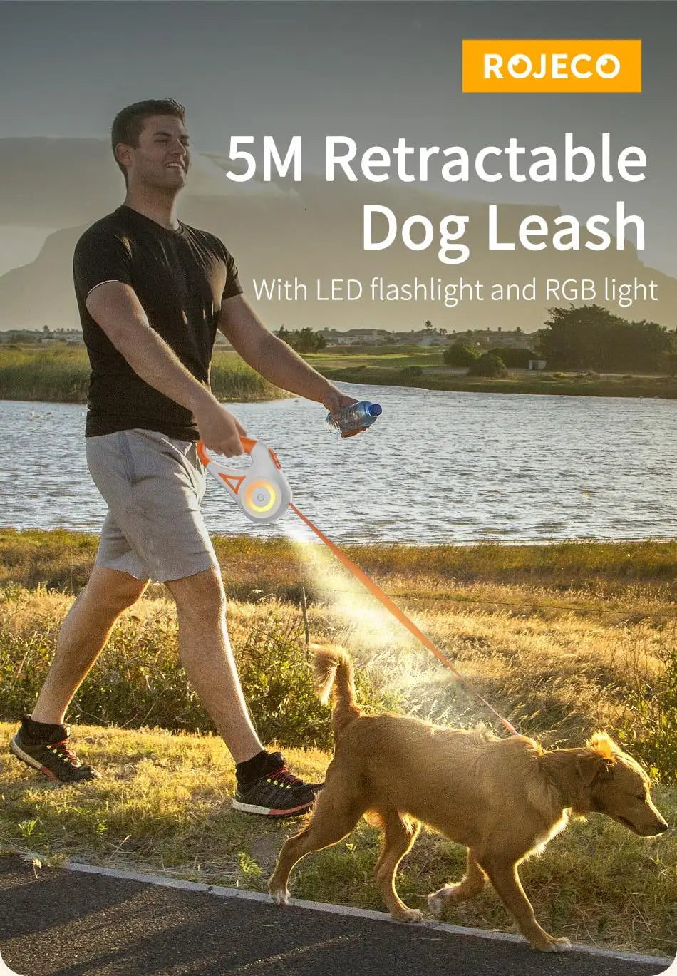 Dog Leash Automatic LED Light