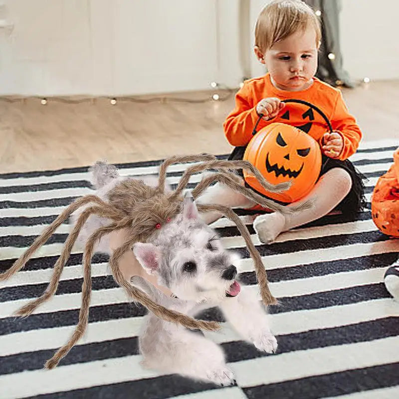 Dog  and Cat Dress up Costume